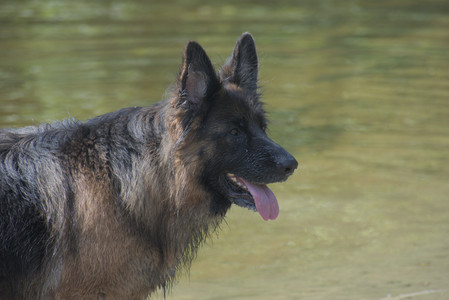 20250621_Dog Park__DSC0490_.jpg