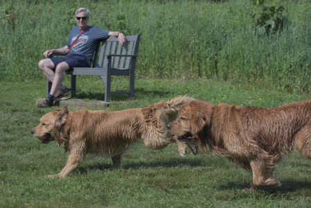 20250621_Dog Park__DSC0497_.jpg