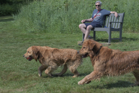 20250621_Dog Park__DSC0498_.jpg