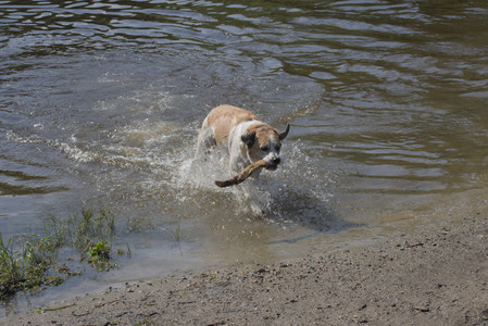 20250621_Dog Park__DSC0518_.jpg