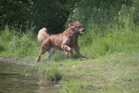 20250621_Dog Park__DSC0524_.jpg