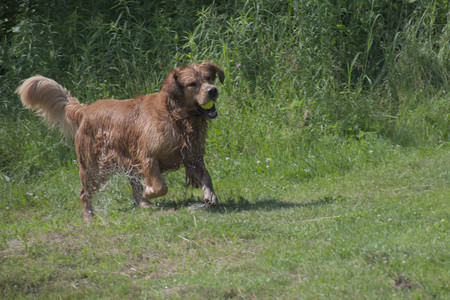 20250621_Dog Park__DSC0526_.jpg