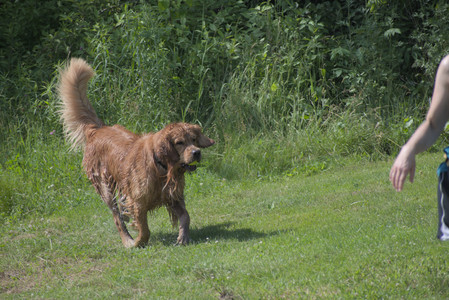 20250621_Dog Park__DSC0528_.jpg