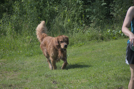 20250621_Dog Park__DSC0530_.jpg