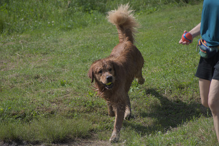 20250621_Dog Park__DSC0534_.jpg