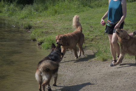 20250621_Dog Park__DSC0536_.jpg