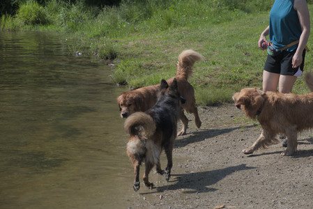 20250621_Dog Park__DSC0537_.jpg