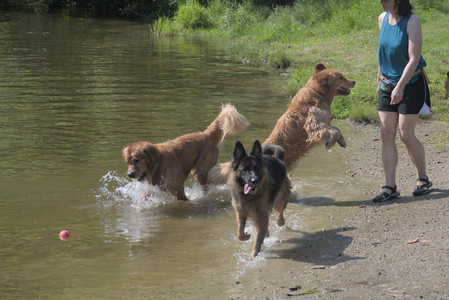 20250621_Dog Park__DSC0539_.jpg