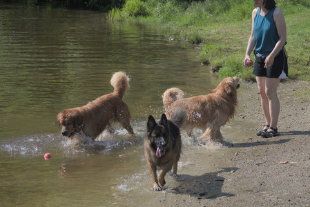 20250621_Dog Park__DSC0541_.jpg