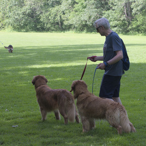 20250621_Dog Park__DSC0555_.jpg