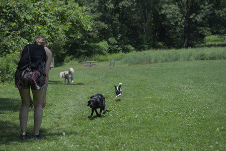 20250622_Dog park and Dog Park Again__DSC0028_.jpg