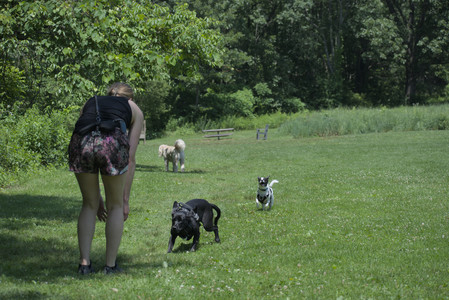 20250622_Dog park and Dog Park Again__DSC0029_.jpg