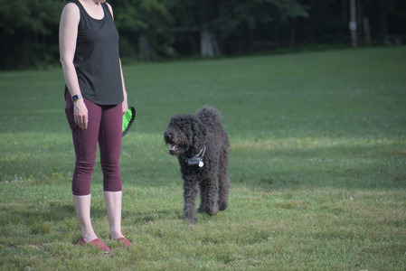 20250622_Dog park and Dog Park Again__DSC0033 (1)_.jpg