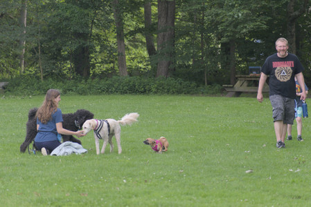 20250622_Dog park and Dog Park Again__DSC0035 (1)_.jpg