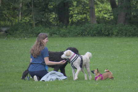 20250622_Dog park and Dog Park Again__DSC0036 (1)_.jpg