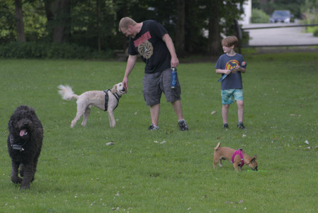 20250622_Dog park and Dog Park Again__DSC0038 (1)_.jpg