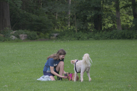 20250622_Dog park and Dog Park Again__DSC0044 (1)_.jpg