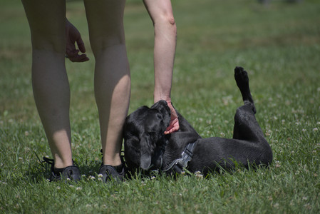 20250622_Dog park and Dog Park Again__DSC0044_.jpg