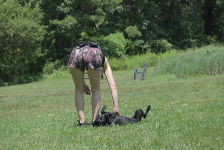 20250622_Dog park and Dog Park Again__DSC0049_.jpg