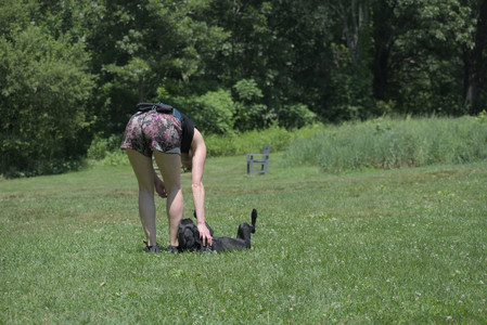 20250622_Dog park and Dog Park Again__DSC0053_.jpg