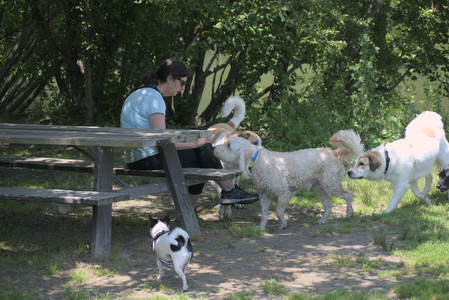 20250622_Dog park and Dog Park Again__DSC0073_.jpg