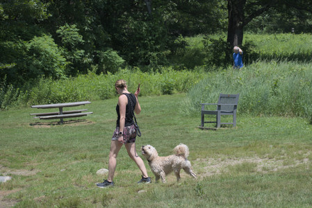 20250622_Dog park and Dog Park Again__DSC0082_.jpg