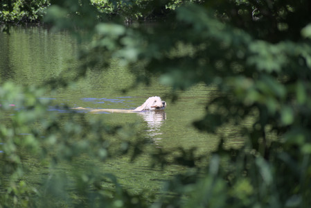 20250622_Dog park and Dog Park Again__DSC0090_.jpg