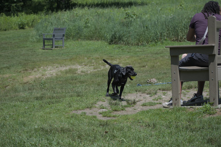 20250622_Dog park and Dog Park Again__DSC0091_.jpg