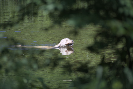 20250622_Dog park and Dog Park Again__DSC0096_.jpg