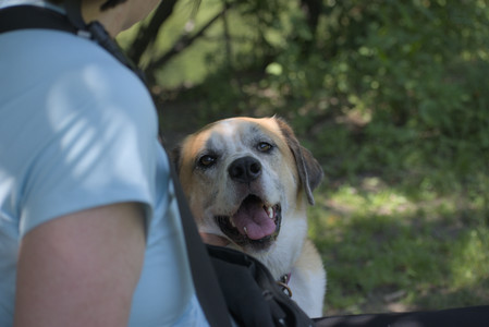 20250622_Dog park and Dog Park Again__DSC0121_.jpg