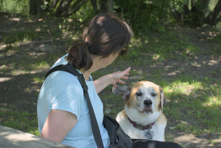 20250622_Dog park and Dog Park Again__DSC0130_.jpg