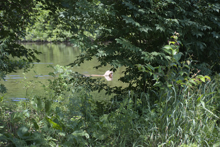 20250622_Dog park and Dog Park Again__DSC0159_.jpg