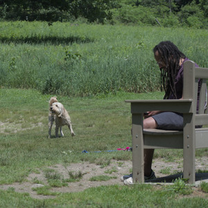 20250622_Dog park and Dog Park Again__DSC0163_.jpg