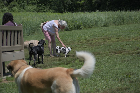 20250622_Dog park and Dog Park Again__DSC0188_.jpg