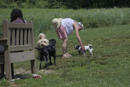 20250622_Dog park and Dog Park Again__DSC0190_.jpg