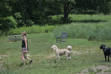 20250622_Dog park and Dog Park Again__DSC0191_.jpg