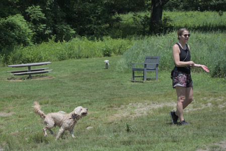 20250622_Dog park and Dog Park Again__DSC0207_.jpg