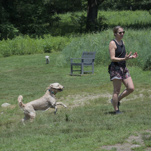 20250622_Dog park and Dog Park Again__DSC0208_.jpg