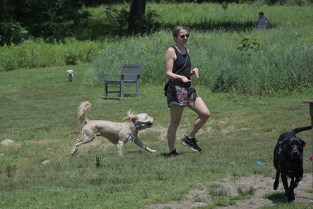 20250622_Dog park and Dog Park Again__DSC0209_.jpg