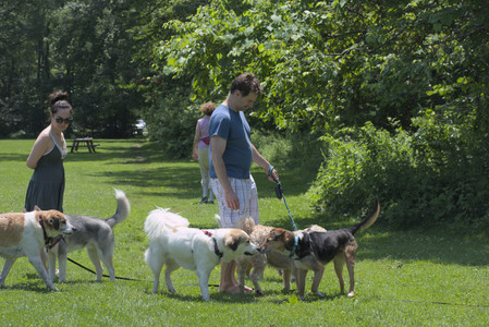 20250622_Dog park and Dog Park Again__DSC0298_.jpg