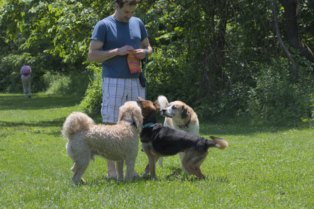 20250622_Dog park and Dog Park Again__DSC0304_.jpg