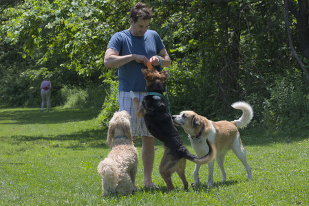 20250622_Dog park and Dog Park Again__DSC0305_.jpg