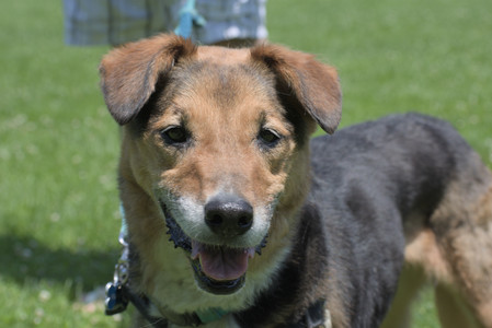 20250622_Dog park and Dog Park Again__DSC0317_.jpg