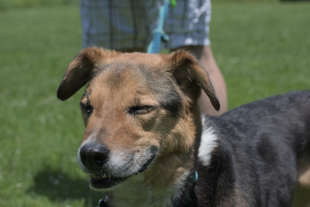 20250622_Dog park and Dog Park Again__DSC0321_.jpg