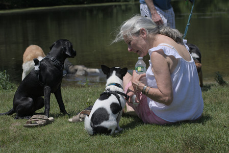 20250622_Dog park and Dog Park Again__DSC0328_.jpg