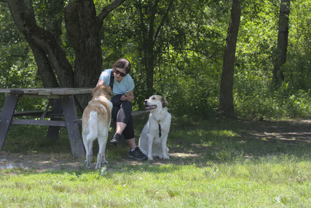 20250622_Dog park and Dog Park Again__DSC0367_.jpg