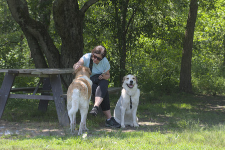 20250622_Dog park and Dog Park Again__DSC0370_.jpg