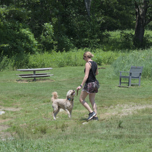20250622_Dog park and Dog Park Again__DSC0378_.jpg