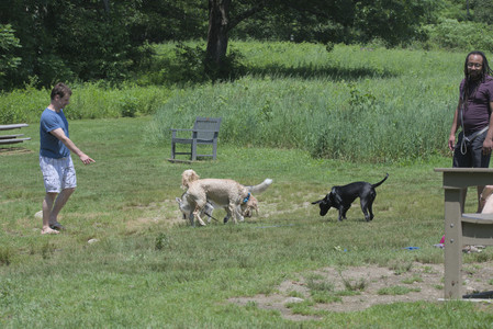20250622_Dog park and Dog Park Again__DSC0413_.jpg