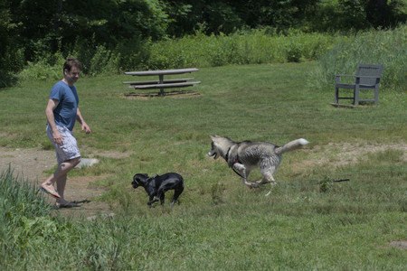 20250622_Dog park and Dog Park Again__DSC0420_.jpg